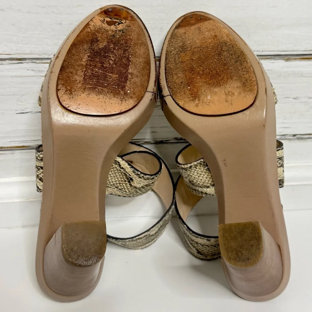 Coach kensington snakeskin